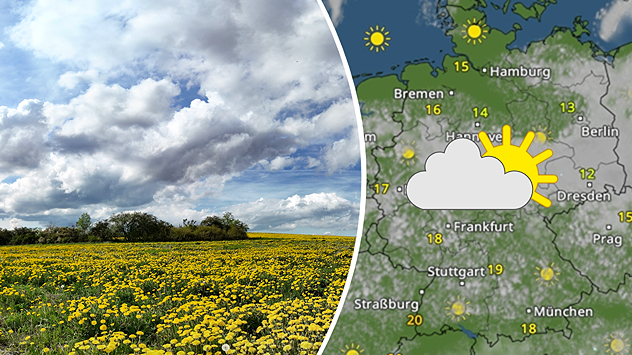 Gelb blühendes Feld unter wolkigem Himmel, aufgenommen am 4.5. in Harzgerode, neben einer WetterRadar-Karte von Deutschland mit Sonne-Wolken-Symbolen.