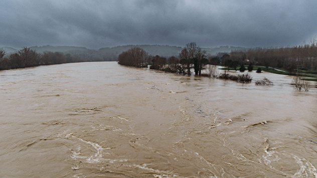 Rivière en crue brunâtre avec des arbres inondés sur les berges. Ciel sombre et nuageux au-dessus du paysage.