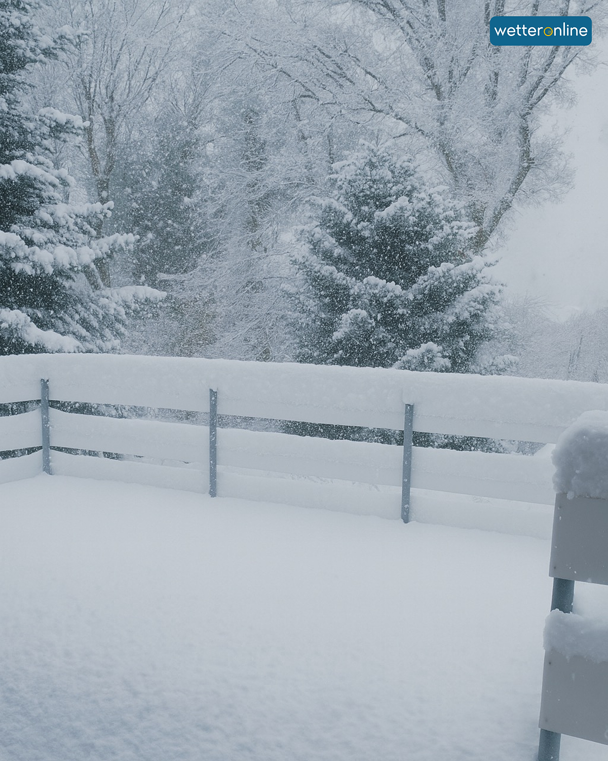 Verschneite Terrasse mit tiefem Neuschnee und schneebedeckten Bäumen im Hintergrund.