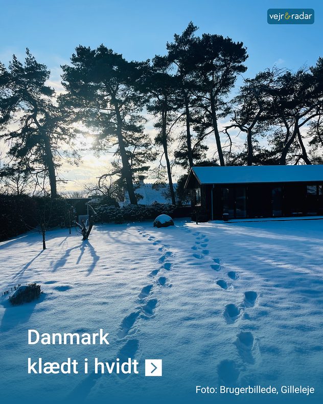 Sneklædt have i Danmark med fodspor i sneen og vintersol, der illustrerer vintervejr og snefald.