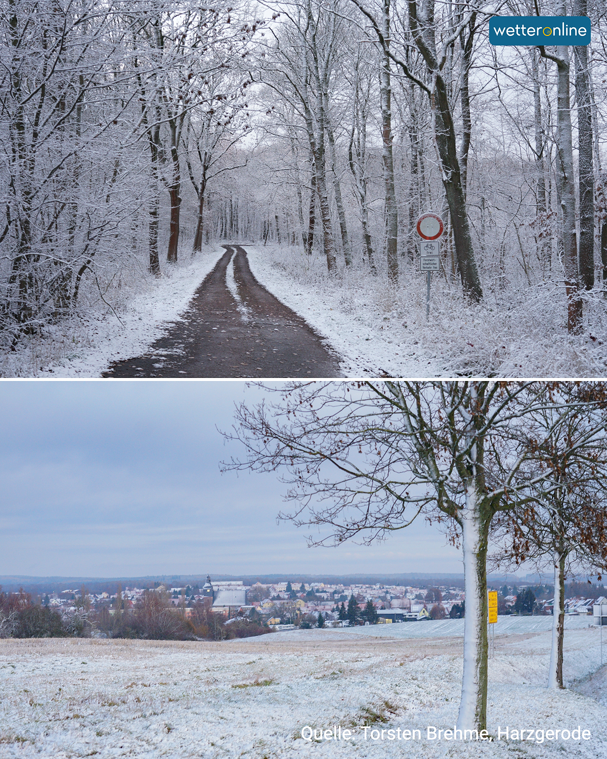 Verschneiter Waldweg und Blick über die winterliche Stadt Harzgerode.