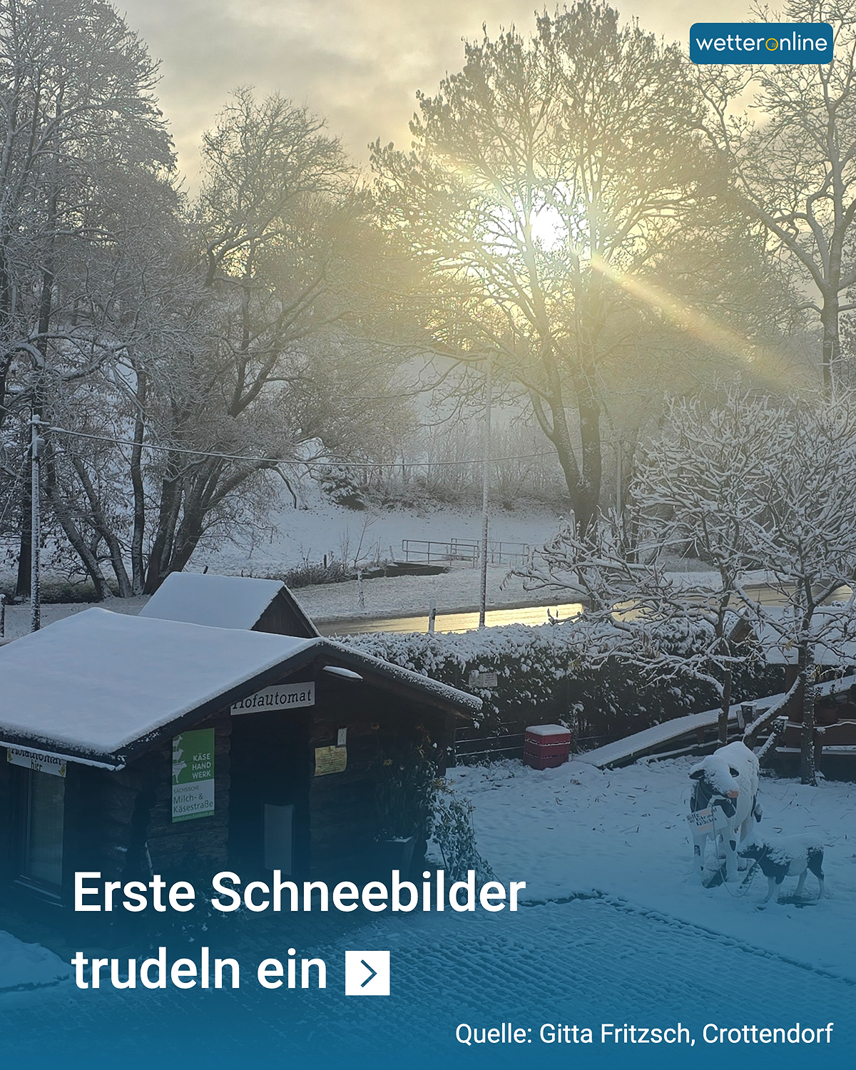 Morgensonne scheint durch verschneite Bäume auf eine kleine Holzhütte.