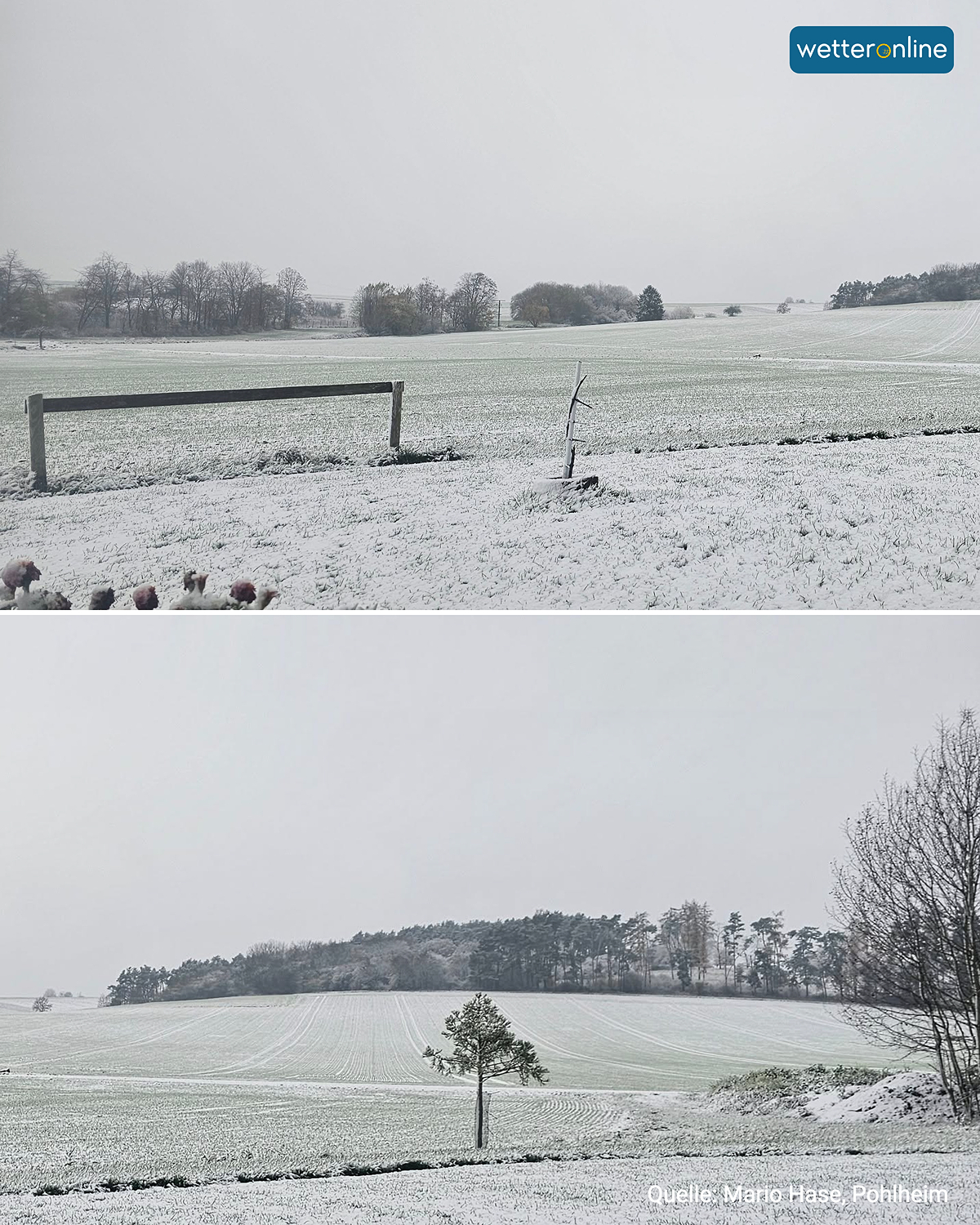 Schneebedeckte Felder und Wälder unter grauem Himmel.