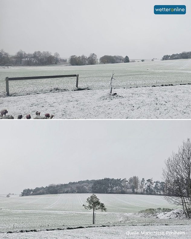 Schneebedeckte Felder und Wälder unter grauem Himmel.