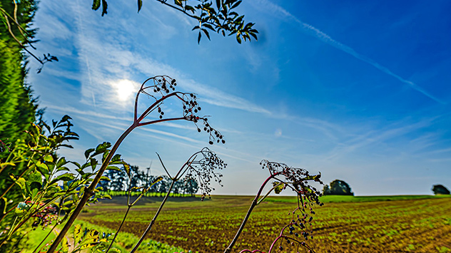 © Heinz-D. Fleck blauer Himmel und Sonne