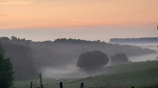 © Karin Hassfeld Nebel in einer Mulde, Himmel schon orange vom Licht der aufgehenden Sonne
