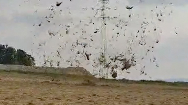 Heuteufel (Video: Alexander Schlemmer)