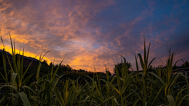 632_Sylvio_Muller_Groszschachwitz - © Sylvio Müller Sonne ist in Dresden untergegangen und lässt den Himmel lila erscheinen.