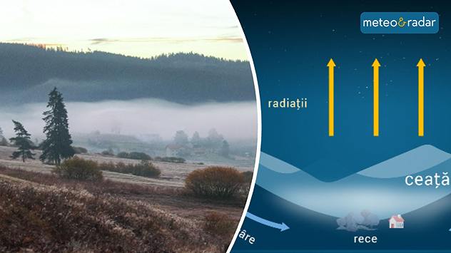 Ce este și cum se formează ceața