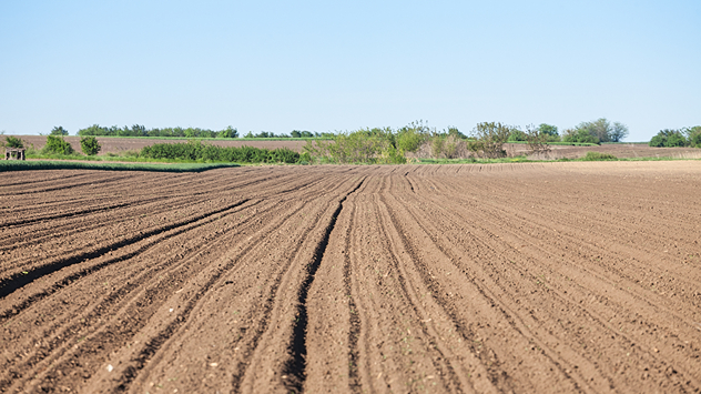 Frisch gepflügtes, trockenes Feld mit langen Furchen unter klarem Himmel. Im Hintergrund niedrige Vegetation und Bäume am Feldrand.