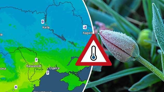 Зліва мінімальні температури в Україні. Справа - захист від заморозків для чутливих рослин навесні.