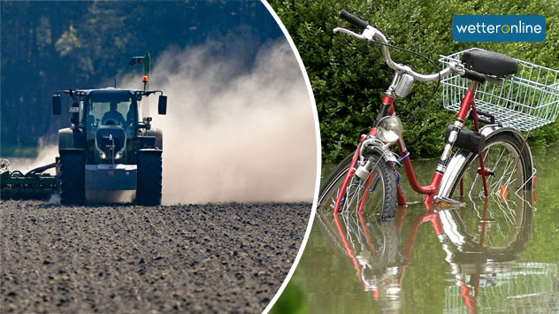 Maibilanz Trocken Nass