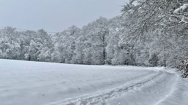 Verschneites Feld und Wald 