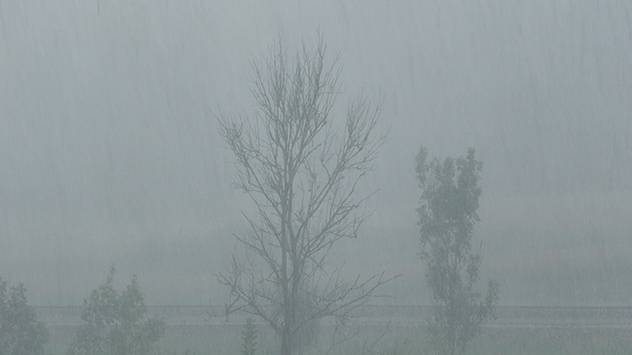 Auch hier gibt es Starkregen. Die Sicht ist dabei sehr schlecht. 