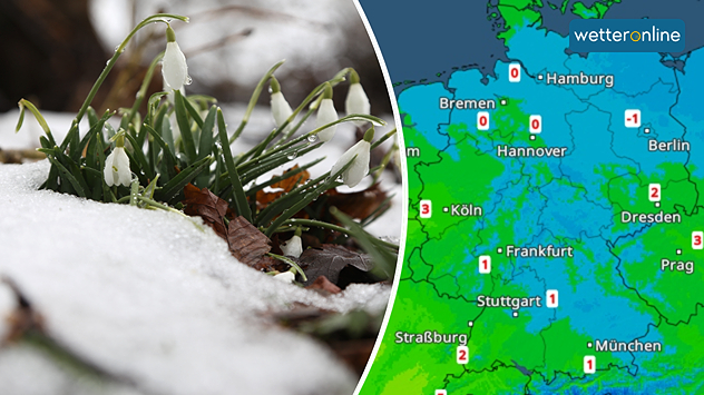 Geteilte Grafik: links Schneeglöckchen, die durch Schnee wachsen, rechts eine TemperaturRadar-Karte von Deutschland.