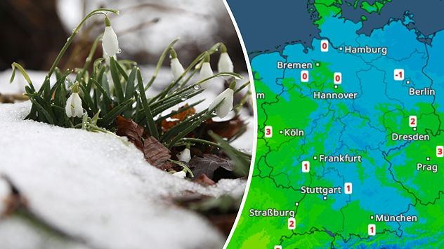 Geteilte Grafik: links Schneeglöckchen, die durch Schnee wachsen, rechts eine TemperaturRadar-Karte von Deutschland.