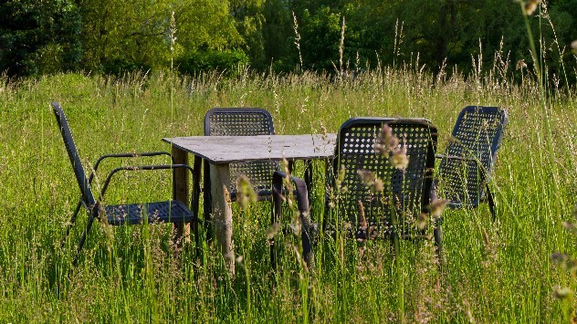 Garden furniture in overgrown grass