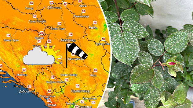 Relativno toplo i vetrovito, prljava kiša