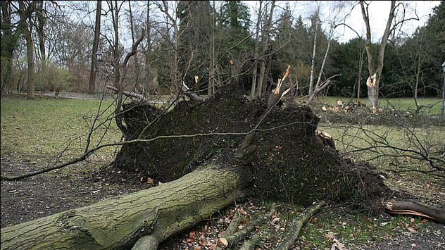 Orkan Emma wütet über Deutschland