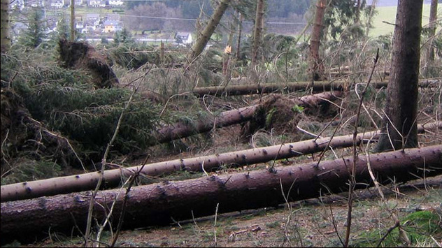 Orkan Emma wütet über Deutschland