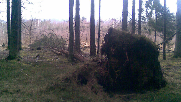 Orkan Emma wütet über Deutschland 