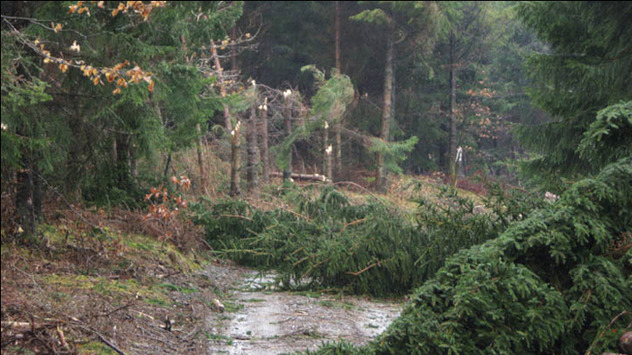 Orkan Emma wütet über Deutschland