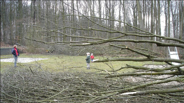 Orkan Emma wütet über Deutschland