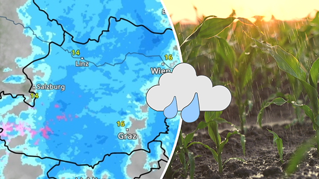Splitbild. Links: Wetterkarte von Österreich mit Wolken, Regen und Sonne - ergänzt durch Wettersymbole. Rechts: Regen auf einem Acker.