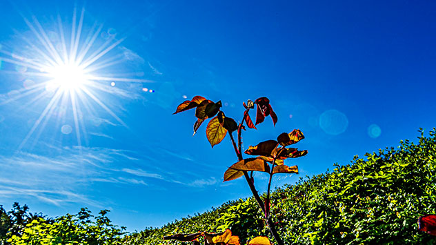 In Udenhausen in Nordhessen strahlt die Sonne von einem wolkenlosen Himmel.