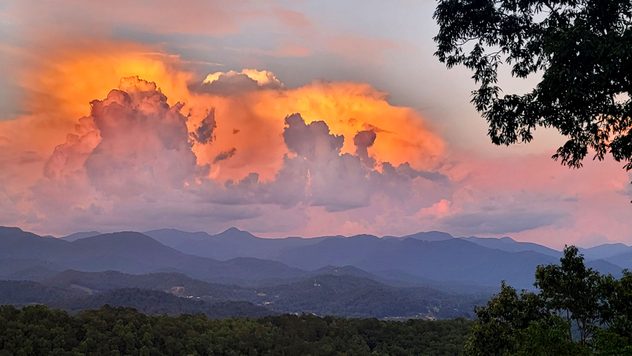 Honorable mention for Sherry Hays from Franklin, N.C.