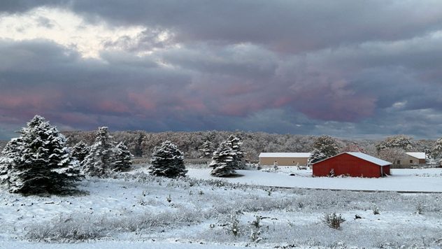 Second place winner is Mae Warren from Hamilton, Michigan.