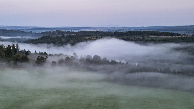 Nebelschwaden im Harz