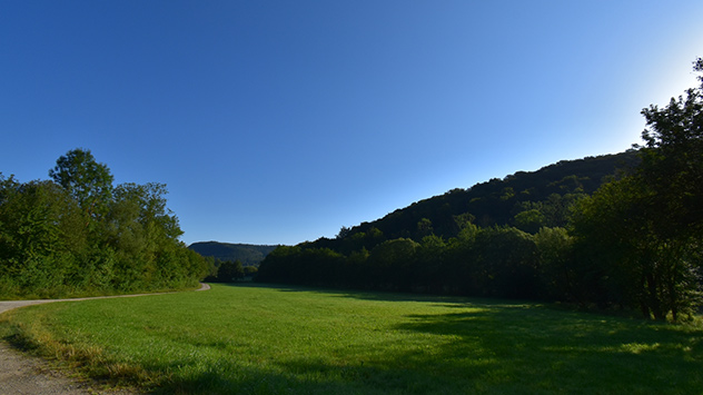 Strahlend blauer Himmel über sattgrüner Wiese