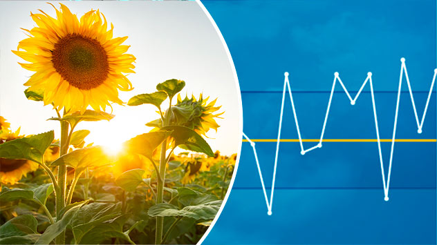 Monatsrückblick August 2024 Monatsrückblick August 2024