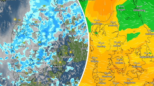 VejrRadar og VindRadar over Danmark med udbredte regnbyger og frisk til hård vind.