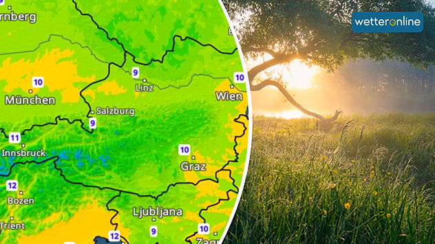 Morgensonne über einer Wiese neben dem TemperaturRadar mit milden Nachtwerten.