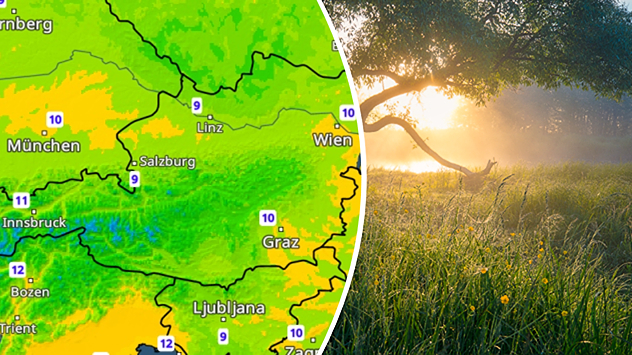 Morgensonne über einer Wiese neben dem TemperaturRadar mit milden Nachtwerten.