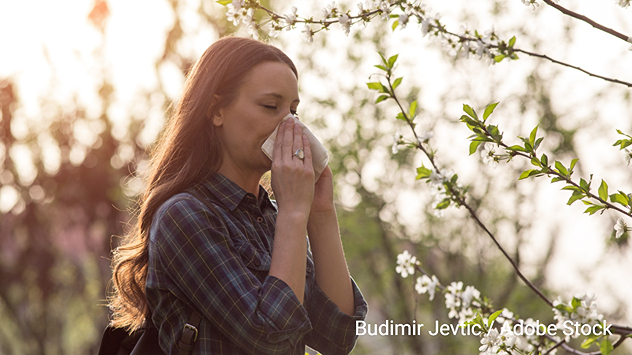 Cada año, la intensidad y duración de los síntomas alérgicos puede variar mucho según cómo hayan evolucionado las precipitaciones en los meses previos. 