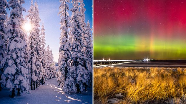 Zweiteiliges Bild mit Winterlandschaften. Verschneiter Wald bei Sonnenschein und Polarlichter über einer Küste bei Nacht. (c) links: Luka Berheide - rechts: Klaus Haase