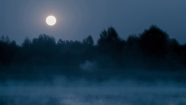 1ef439ea-4bc0-6e36-8c5d-19abd0aa8c66 Nebelmond 632