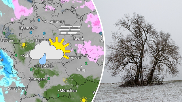Geteilte Grafik: links eine WetterRadar-Karte von Deutschland mit Sonne-Wolken-Regen-Symbolen, rechts ein kahler Baum auf schneebedeckter Landschaft unter grauem Himmel.