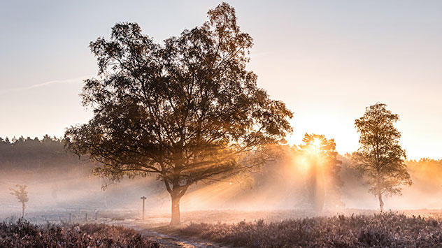 Rückblick September