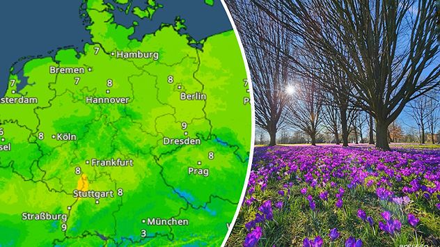 TemperaturRadar zeigt einstellige Plusgrade für Samstag - Krkousse bei Sonnenschein im Westfalenpark