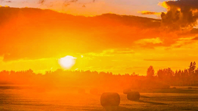 © Simone Eicker Morgensonne