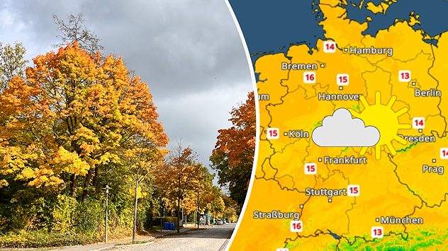 Foto von Herbstbäumen mit buntem Laub bei freundlichem Wetter und TemperaturRadar mit den Höchstwerten für Dienstag (c) Foto: Elke Wendhut
