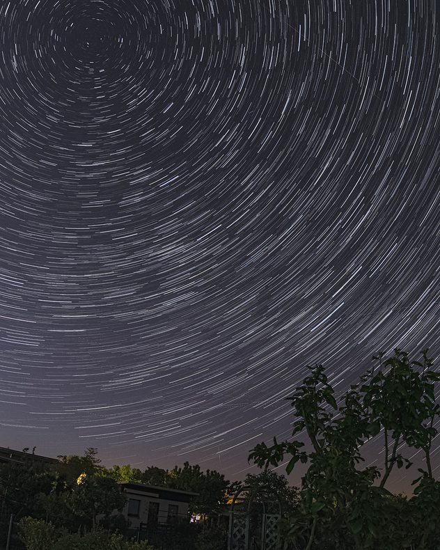 Long-exposure night sky showing circular star trails rotating around the celestial pole above silhouetted trees and garden structures.
