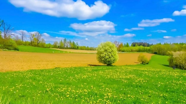 Die Eisheiligen verwandeln sich mit Höchstwerten um 30 Grad dann eher in die „Schweißheiligen“. 