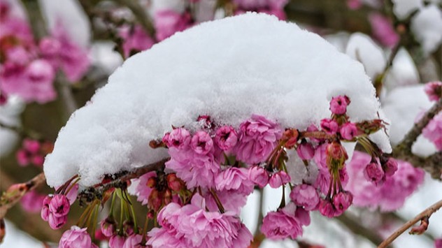 Zum Monatsende stellt sich die Wetterlage um und der Winter kehrt wieder ein. Vor allem im Norden schneit es vom 30. Zum 31. März teils kräftig. 