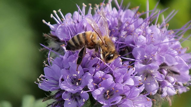 Auch der November wird seinem Ruf nicht gerecht. Die meiste Zeit erinnert er eher an einen Frühlingsmonat. 