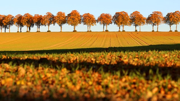 Der goldene Monat Klimageschichte. Zum Ende des Monats zeigt das Thermometer sogar noch mal 29 Grad an. 